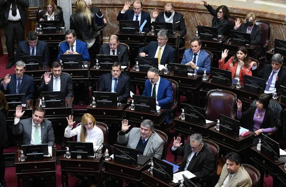 El Frente de Todos logró aprobar la moratoria previsional en el Senado (Foto: Comunicación Senado)