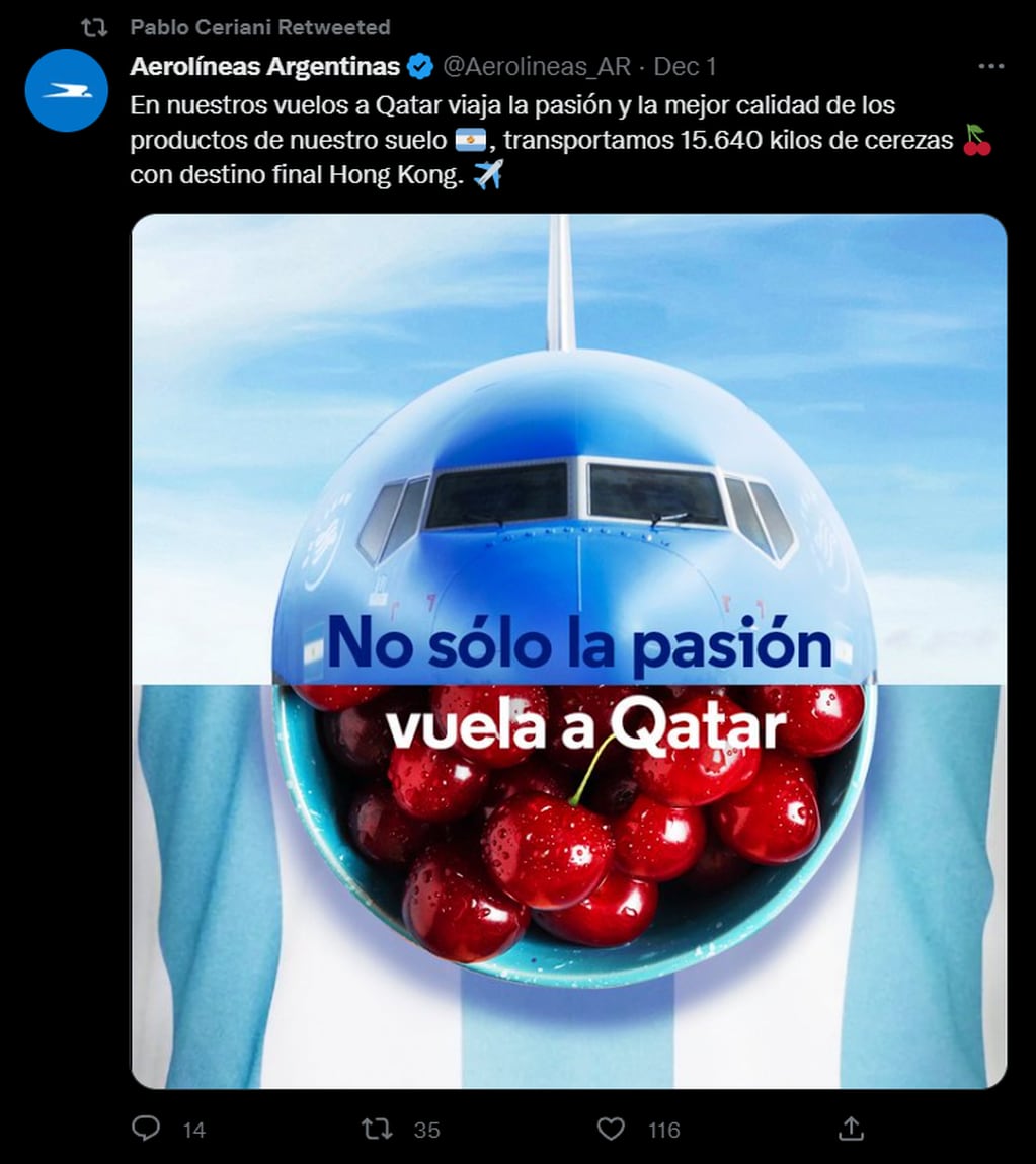 Pablo Ceriani, presidente de Aerolíneas Argentinas, hizo mención al transporte de pasajeros y de productos nacionales. Foto: Twitter/@ceriani_pablo