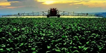 El glifosato es el herbicida más usado en el país y está asociado a los cultivos transgénicos (La Voz/Archivo).