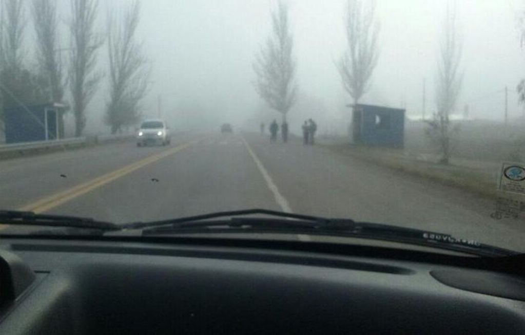 Ruta 40, hacia el sur de la ciudad de Tunuyán, con presencia de neblina que disminuye la visibilidad. Foto: X / @VALLEOVA