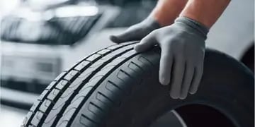 Neumáticos