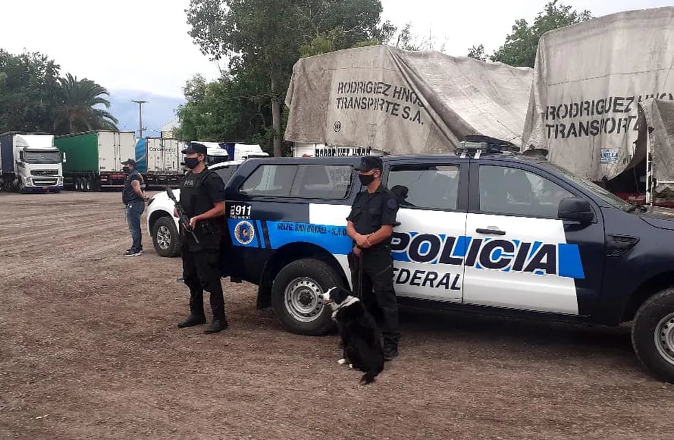 Los camiones fueron interceptados en Desaguadero por la Policía Federal. / Gentileza Fiscalía Federal de San Rafael.
