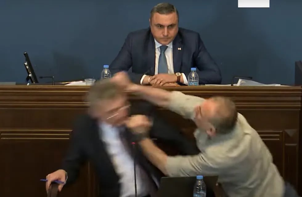Un diputado opositor le dio una trompada al líder de un partido oficialista de Georgia - Captura de video