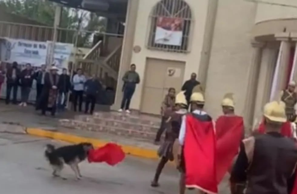 El can se enfureció cuando vio que estaban torturando a "Jesús" y atacó a uno de los "romanos". Gentileza: El Heraldo de México.