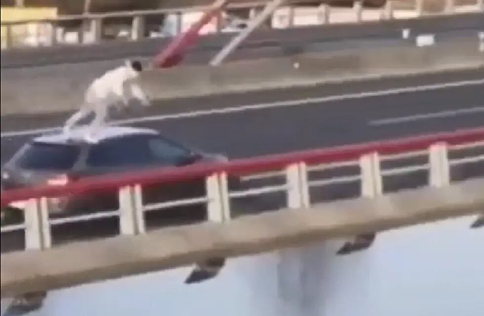 El joven, que viste con ropa de invierno, se arroja al agua mientras el vehículo pasa por el viaducto - Captura de video