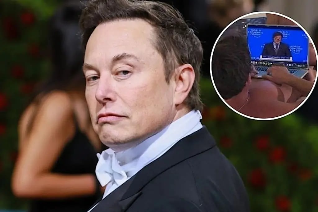 Elon Musk volvió a elogiar a Milei con un posteo hot