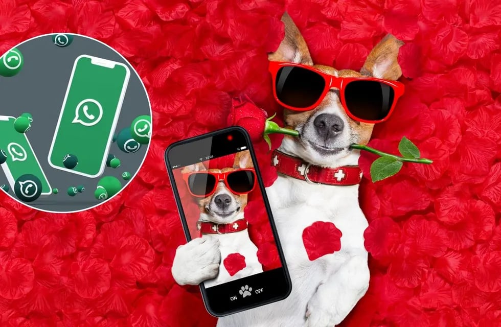 Cómo crear stickers de WhatsApp románticos y personalizados para el día del amor