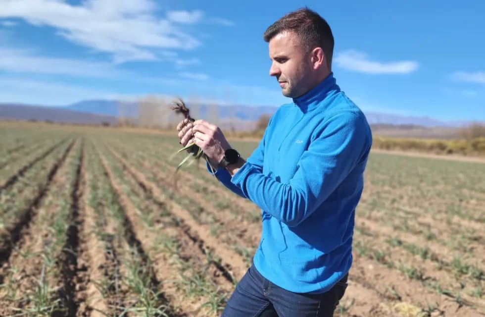 Lucas Gilbert, CEO de Agrocosecha, apuesta a la tecnificación del agro.