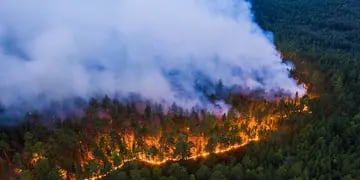 Incendios forestales en Siberia