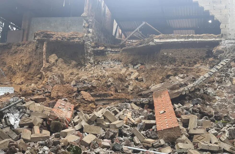 29 perros fueron rescatados luego de que un deslizamiento de tierra destruyera el albergue donde vivían.