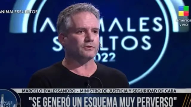 Un ministro de Rodríguez Larreta pidió bajar la edad de imputabilidad a 14 años