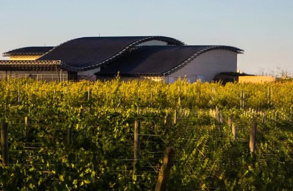 Bodega Patritti fundada en 2003, posee una capacidad de producción de 1,5 millones de litros de vino.