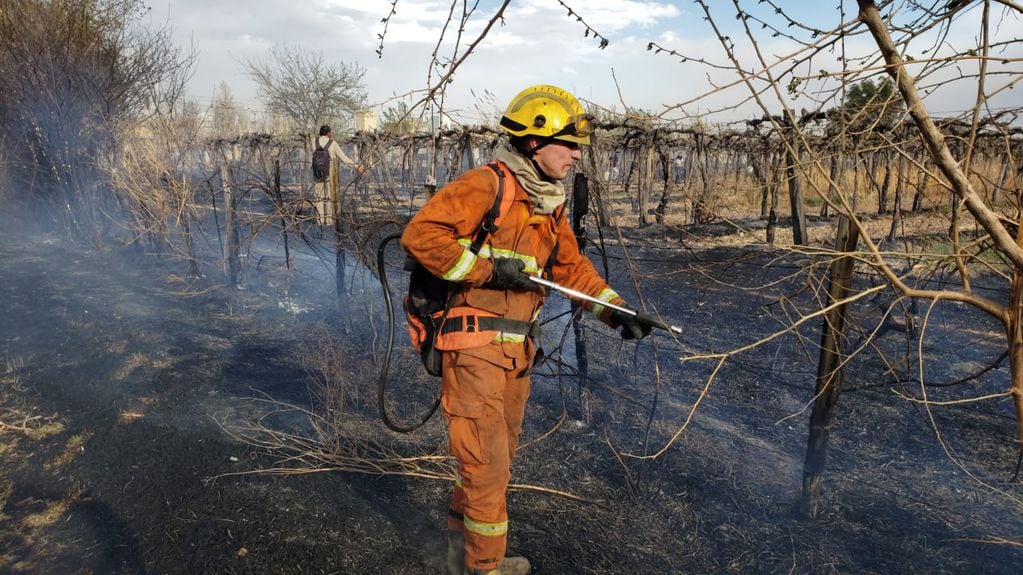 Los viñedos de la Escuela 4-007 Miguel Amado Pouget de Bermejo sufrieron un incendio por Zonda. - Claudio Gutiérrez / Los Andes