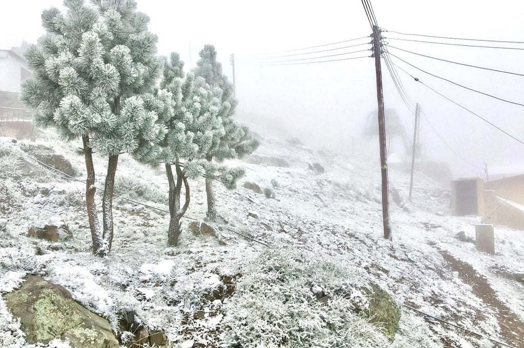 Nieve en Vallecitos (17/02/23) Gentileza / Refugio Ski Montaña Vallecitos
