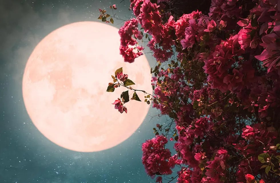 Luna llena de mayo 2023, la Luna de las Flores. Foto: Diario AS