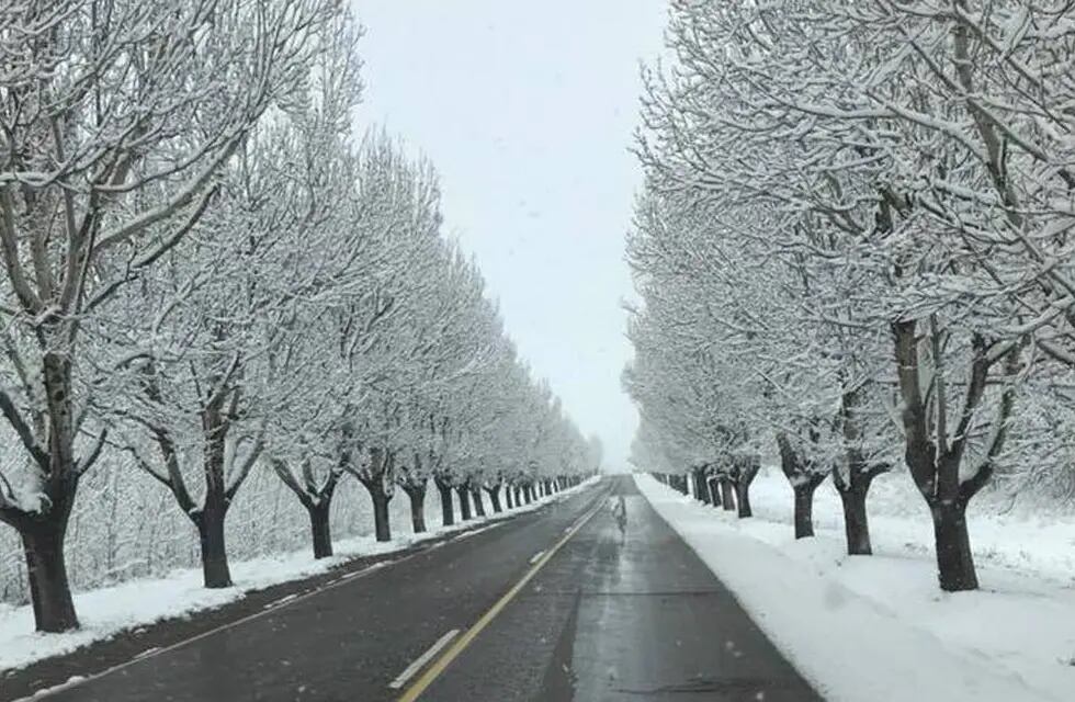 La nieve y el frío obligaron a cerrar las rutas que unen San Rafael con Malargüe