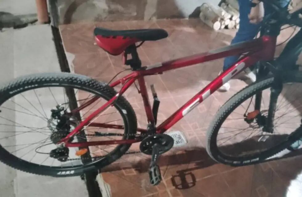Le robaron las bicicletas a una familia de Tunuyán - El Cuco Digital