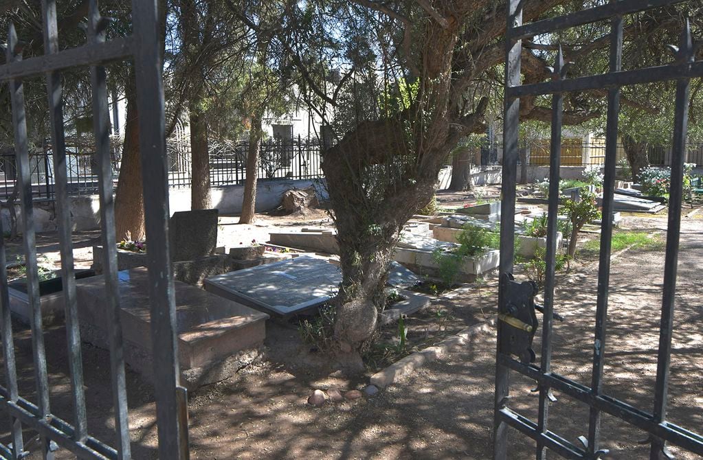 Debajo del centenario olivo descansan los restos de Mary Olive Morse y Margaret Louise Collord, en el sector británico del cementerio de la Ciudad de Mendoza. Foto: Orlando Pelichotti