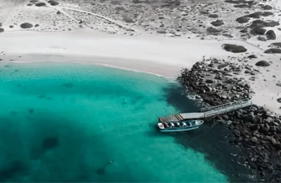 Isla Damas, un paraíso chileno a 110 kilómetros de La Serena y que permite ver delfines, ballenas y pingüinos. Foto: Instagram @legovde