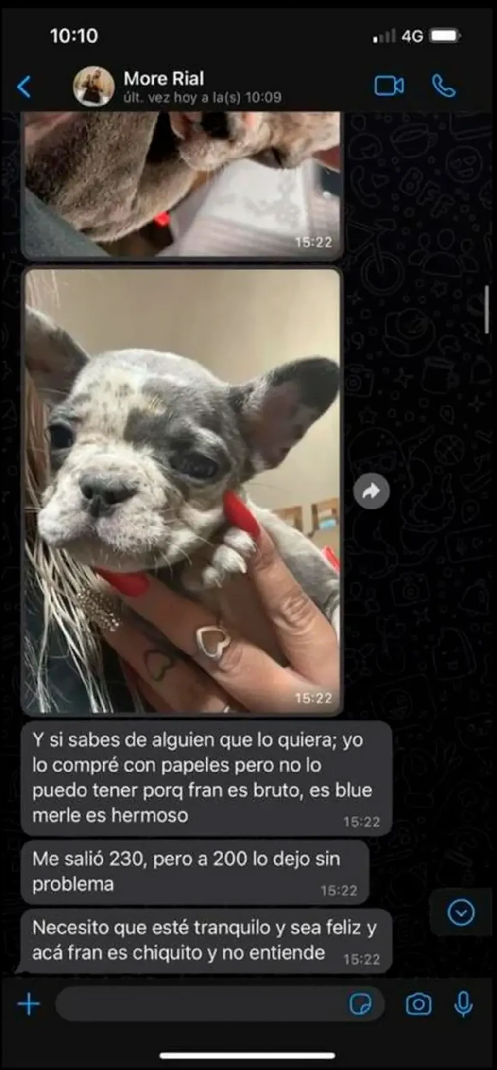 La conversación de WhatsApp entre Morena y una persona que quería comprarle el perro que se viralizó. (Foto: Captura de pantalla)