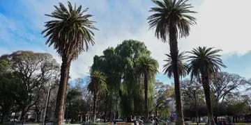 Postales de Mendoza, plazas, clima, calor, tiempo