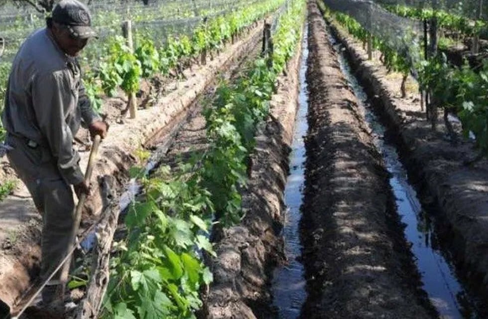 Más de 3.300 productores se adhirieron al Seguro Agrícola en la provincia. - Archivo