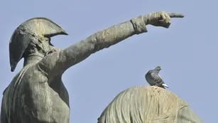 En la plaza. La gente les da de comer a las aves aunque éstas representen un foco infeccioso y dañen el patrimonio histórico (La Voz / Raimundo Viñuelas).