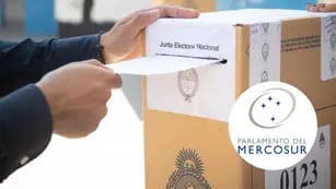 Parlamentarios del Mercosur, la categoría que pocos saben que votamos el domingo: quiénes son y que hacen