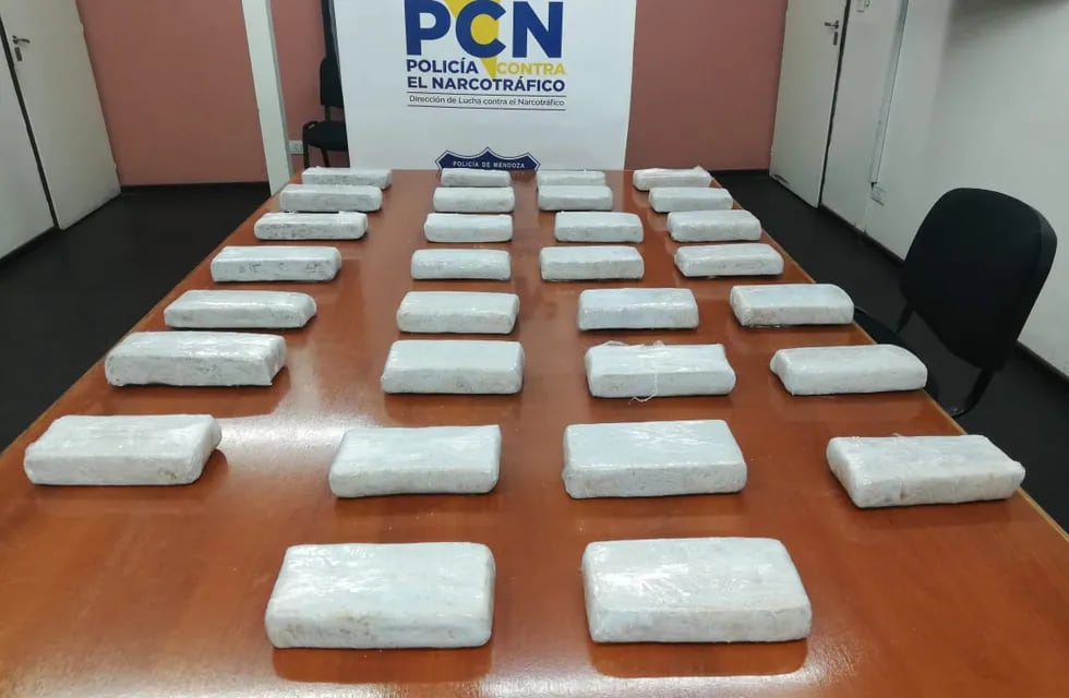 Secuestro de cocaína por parte de la Policía de Mendoza.