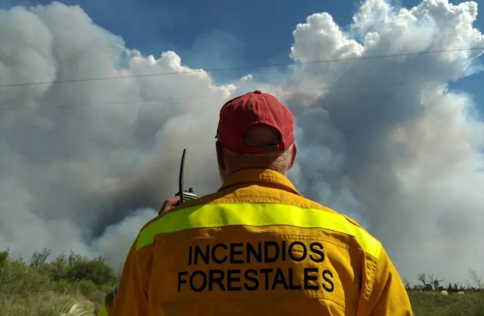Incendios forestales en Mendoza.