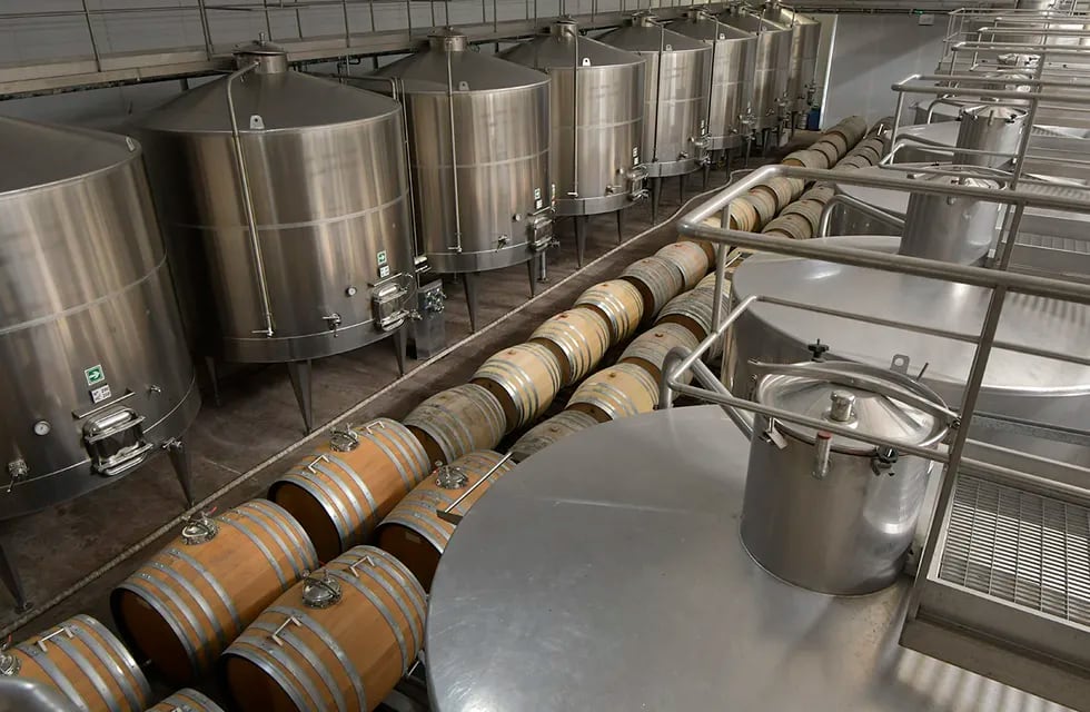 La industria del vino puso sobre la mesa las prioridades para la nueva gestión del INV. - Foto: Orlando Pelichotti