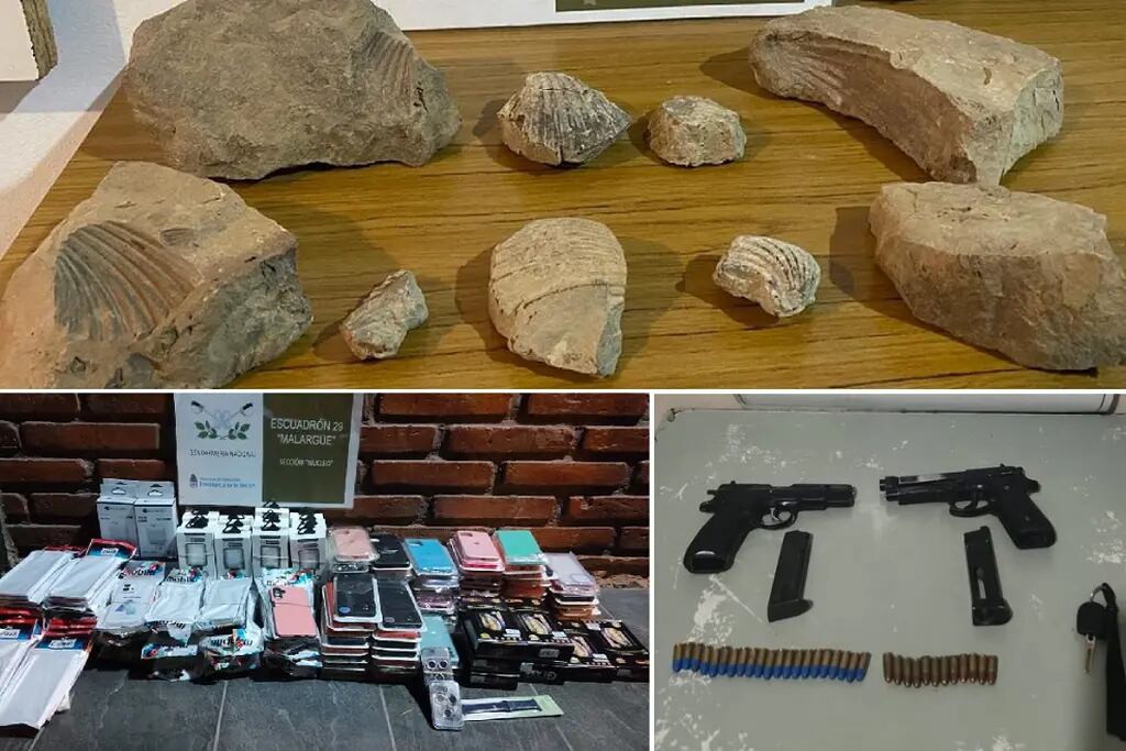 Secuestraron mercadería de contrabando, armas y hasta restos paleontológicos en Malargüe