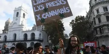 Cultivadores de marihuana marcharon en todo el país