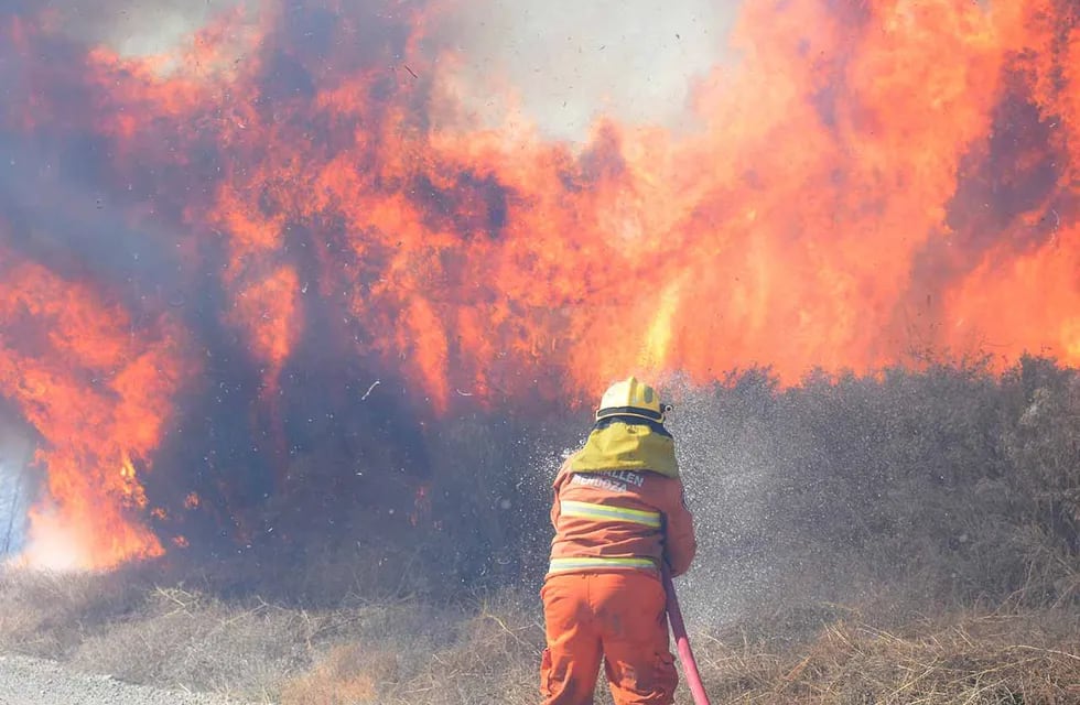 Para combatir incendios forestales construirán bases con fondos propios. Foto: José Gutiérrez / Los Andes