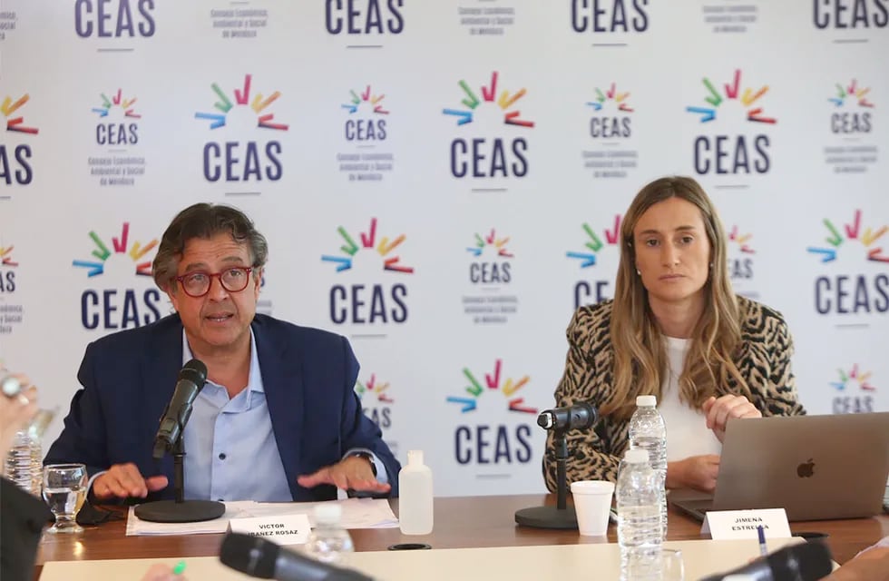 El CEAS se reunió para avanzar en temáticas de desarrollo para Mendoza. El ministro de Gobierno Víctor Ibáñez, y Jimena Estrella, secretaria técnica del CEAS, presidieron el encuentro de más de tres horas.