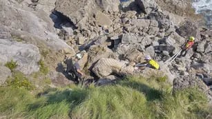 Con la ayuda de un helicóptero rescataron a una vaca que había caído por un acantilado