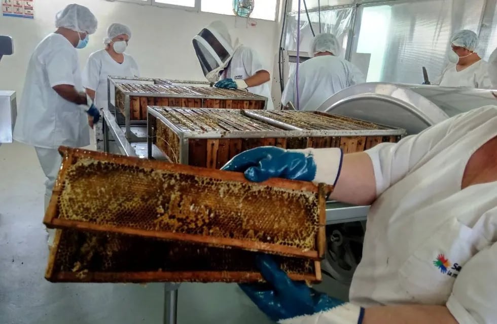 Sala comunitaria de extracción de miel en San Rafael.