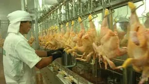 Interés. A pesar de la suba de precios registrada en el último año, la carne de pollo mantiene su consumo doméstico por encima de los 40 kilos por habitante al año (Ramiro Pereyra/Archivo)