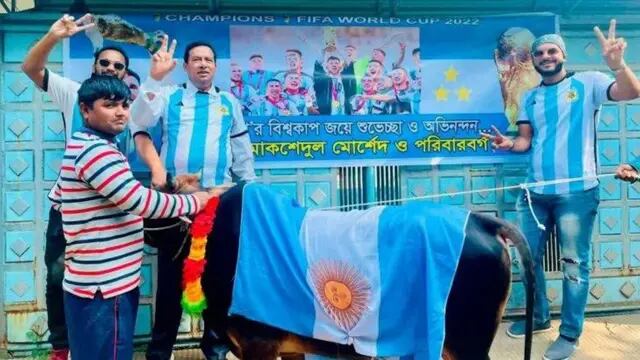 Fiebre Albiceleste: un bengalí le prometió a su pueblo carnear una vaca si Argentina salía campeón, y cumplió