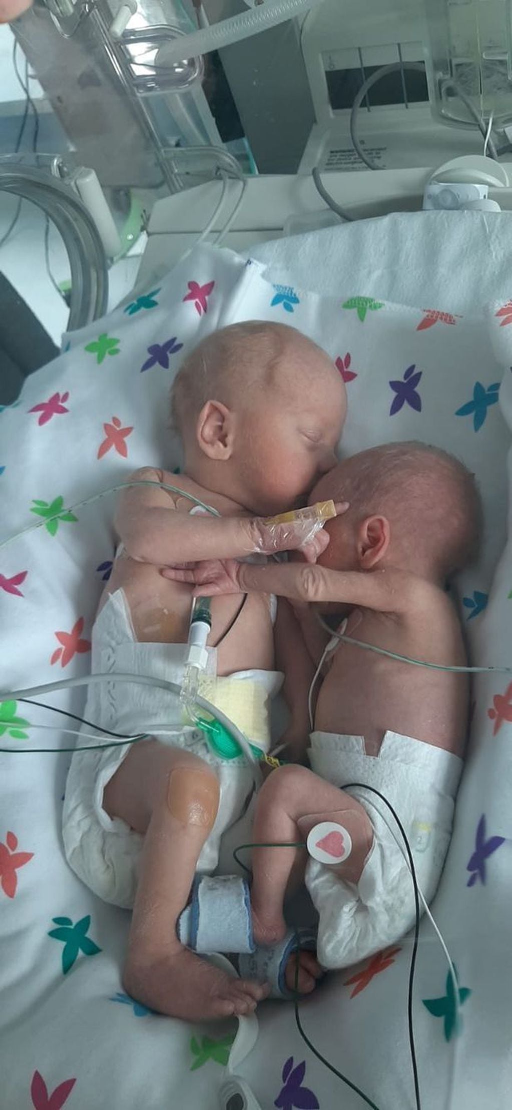 Dos bebés mellizos se abrazaron tras ser reunidos en la misma incubadora.