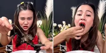 Una youtuber tailandesa quedó detenida tras filmarse comiendo una sopa preparada con una especie de murciélago protegida