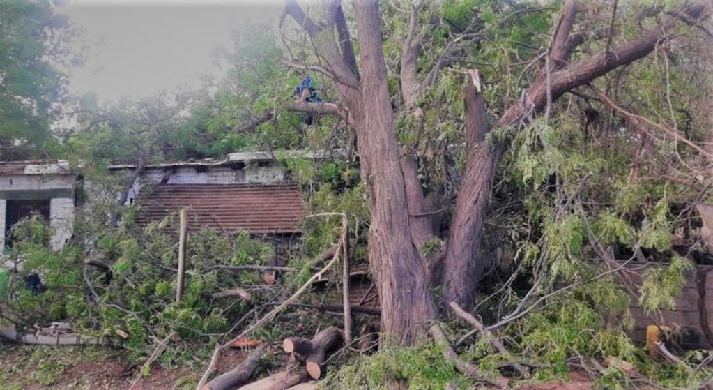 Asistieron a casi 1.000 familias afectadas por la última tormenta.