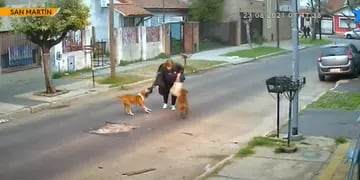 Video: el momento exacto del brutal ataque de tres perros a una mujer que regresaba a su casa
