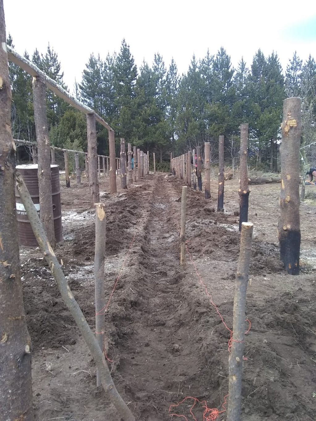 Mapuches quisieron levantar una huerta comunitaria en un terreno del Ejército - 