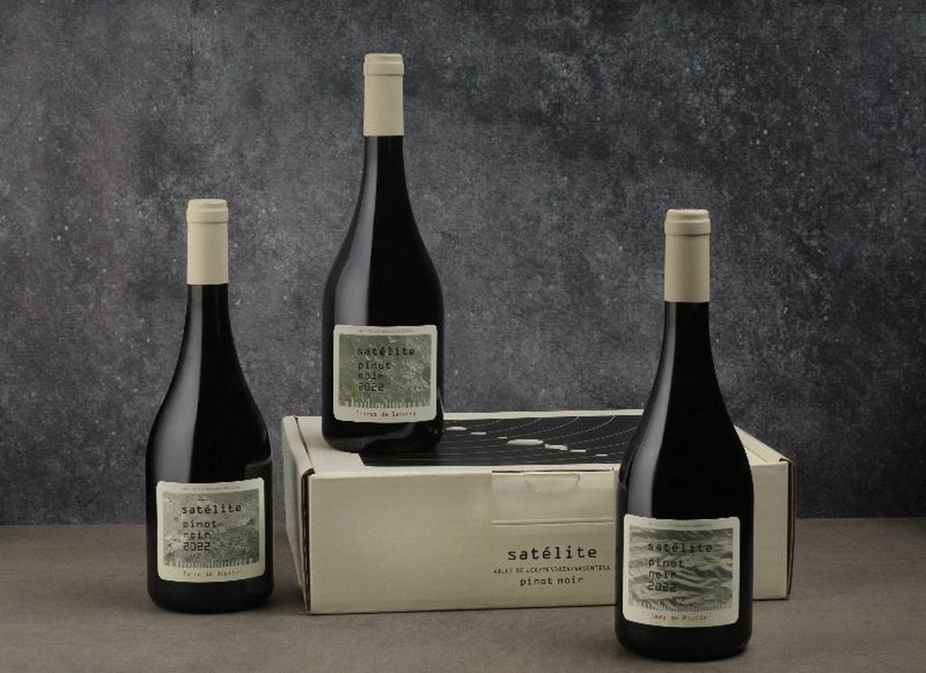 Satélite Pinot Noir, la primera línea de Familia Millán Wine Series. - Gentileza