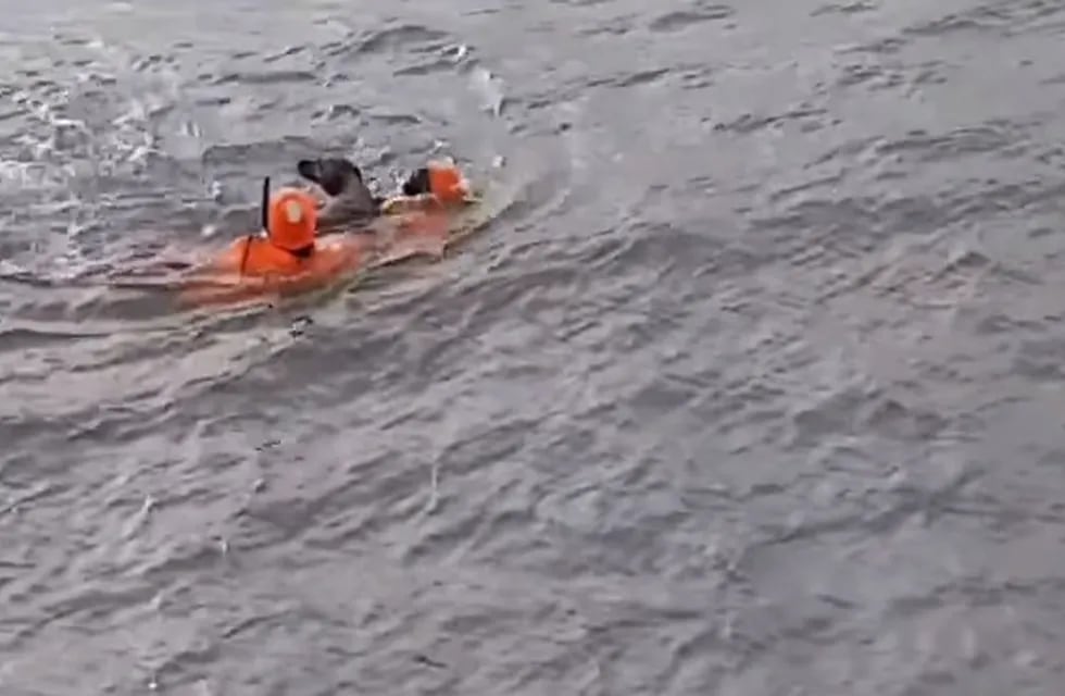 Tres oficiales de Prefectura Naval Argentina rescataron a un perro que nadaba mar adentro.