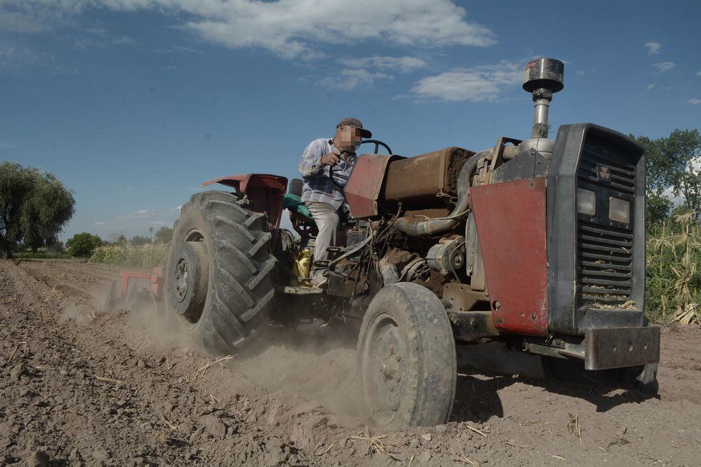El sector agroindustrial argentino teme una escasez de gasoil y aumento de costos. Imagen: Archivo