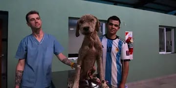 La Casita de Lula, un refugio para perros