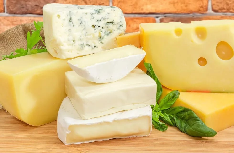 ¿Qué quesos se pueden freezar y cuáles no? Imagen ilustrativa / Bigstock