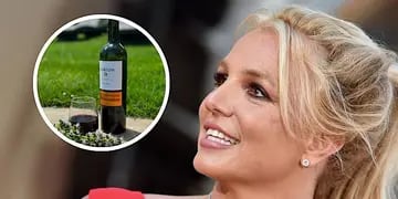Britney Spears elogió a un Malbec mendocino en sus redes: cuál es y cuánto sale